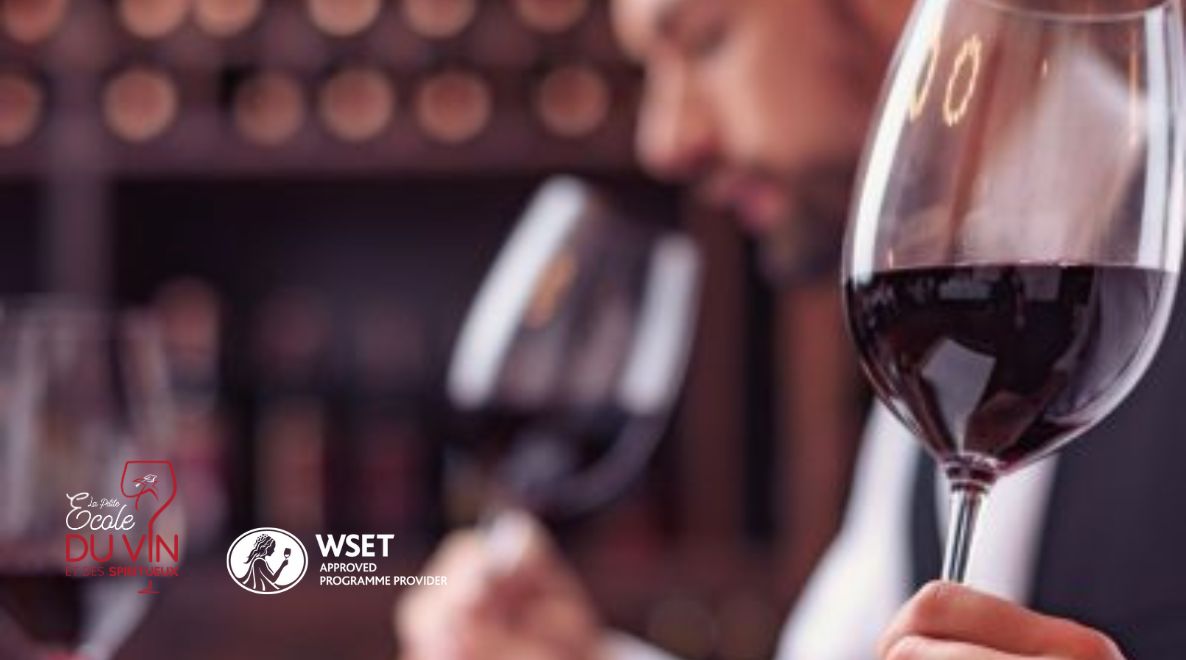 Formation WSET vins – Niveau 1