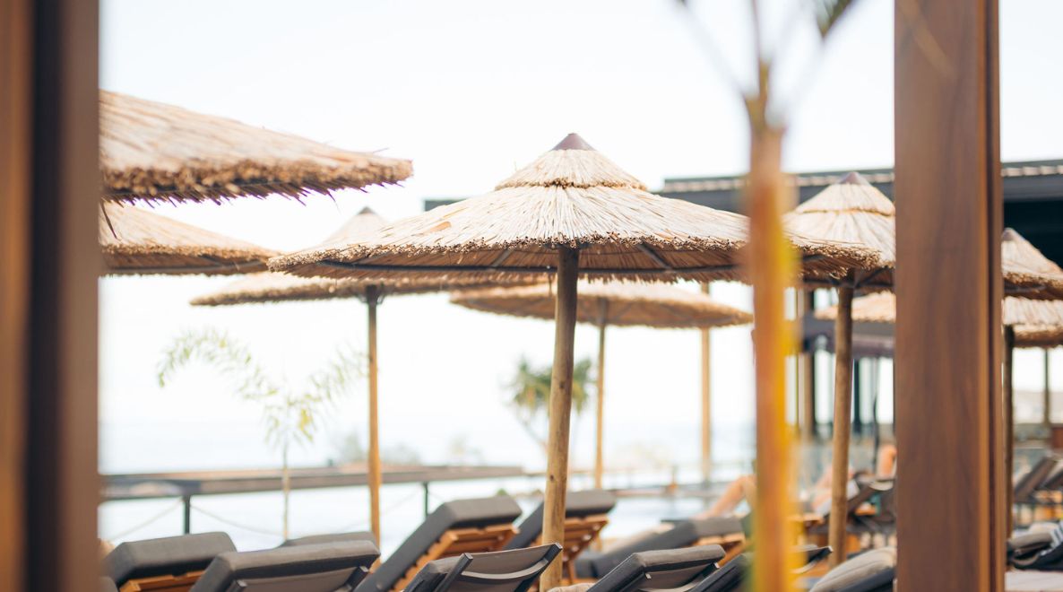 Relaxation Day at WOOD: The Perfect Escape